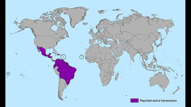 CDC confirms Zika virus in Minnesota woman after Honduras trip