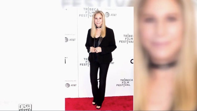 Barbra Streisand admits to cloning her dog twice