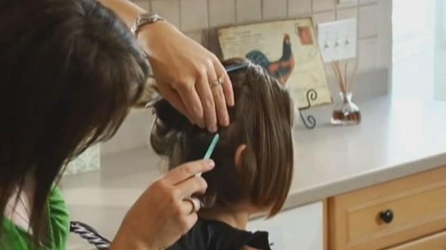 HEAD LICE: New guidelines for parents and schools