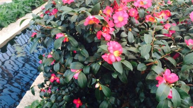 Escape the cold in St. Paul