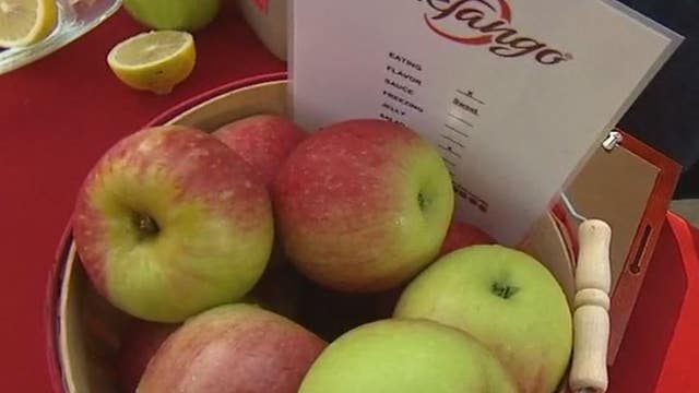 Fried apple grilled cheese + 3 other apple recipes you need in your life