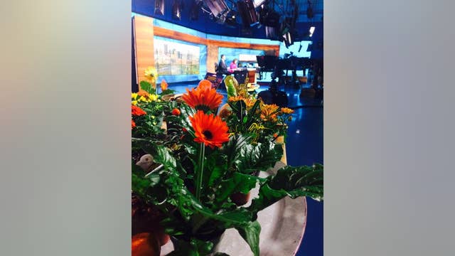 How to bring that beautiful autumn harvest indoors