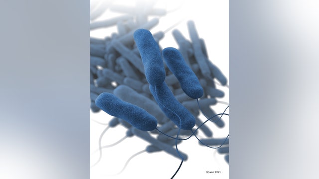 Citrus Systems identified as source of Hopkins Legionnaires' outbreak
