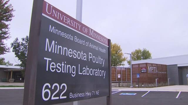 New poultry testing lab opens in Willmar to track avian flu