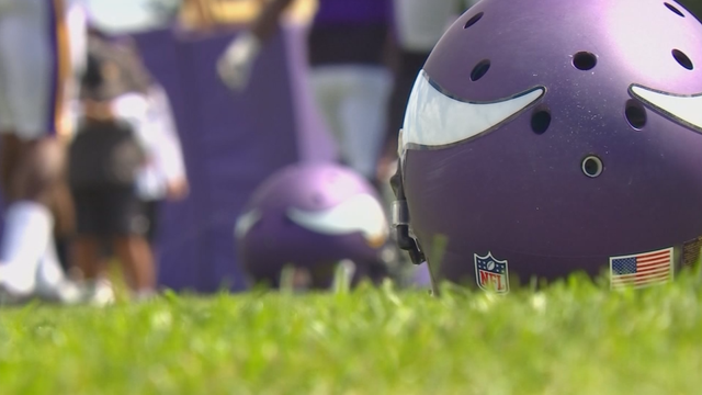 Vikings mourn deaths of former players Joey Browner, Jeff Siemon