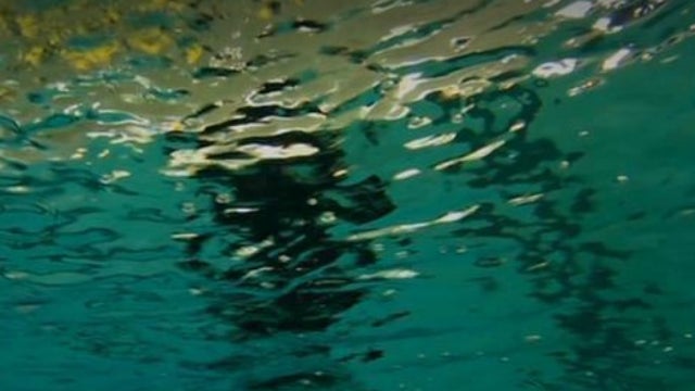 Foss Swim School: How quickly someone can drown