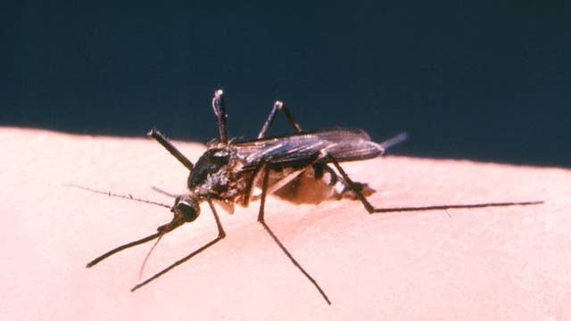 Minnesota health officials say risk of Zika virus is very low