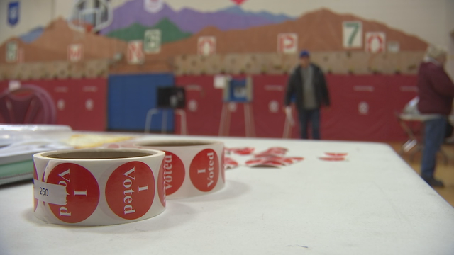 Munson, Bigham win in special Minnesota elections