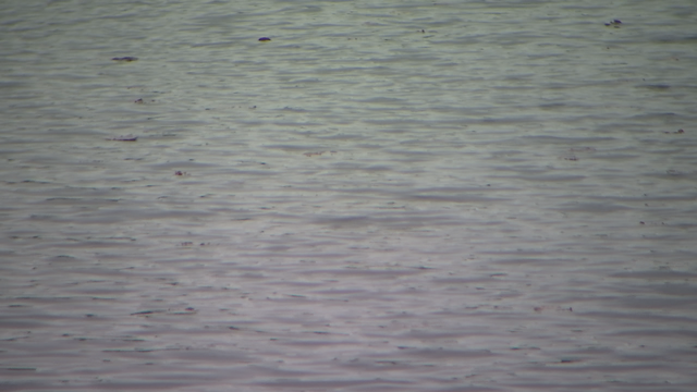 Woman revives man knocked unconscious by jet ski explosion on Island Lake