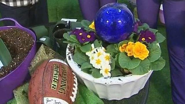 Show your Vikings pride with purple plants