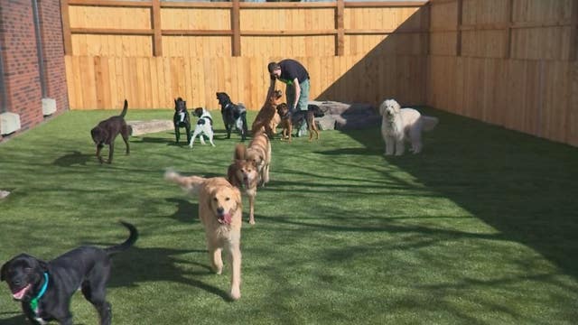 Tips for boarding your pets