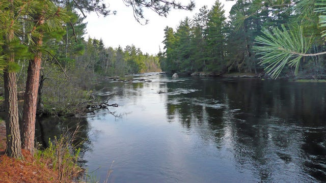Walz signs executive order to make environmental permit process more efficient