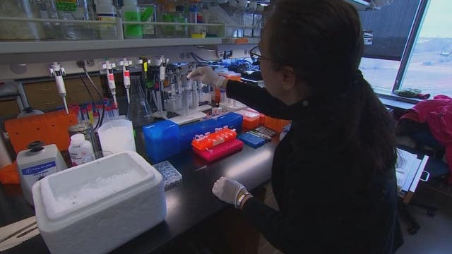 U of M muscular dystrophy research gives patients hope