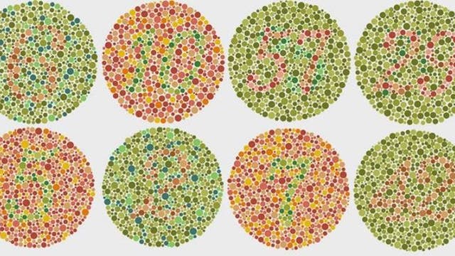 Color for the colorblind, with special lenses