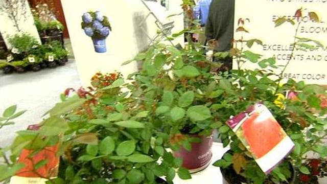 Sneak peak of new plants in 2015