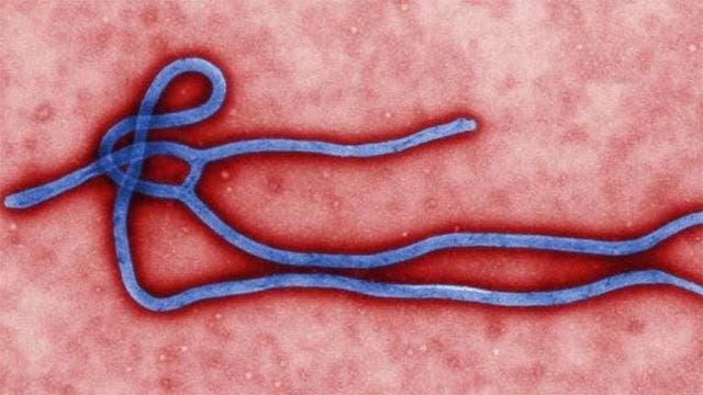 New Ebola case confirmed in Liberia, first since January