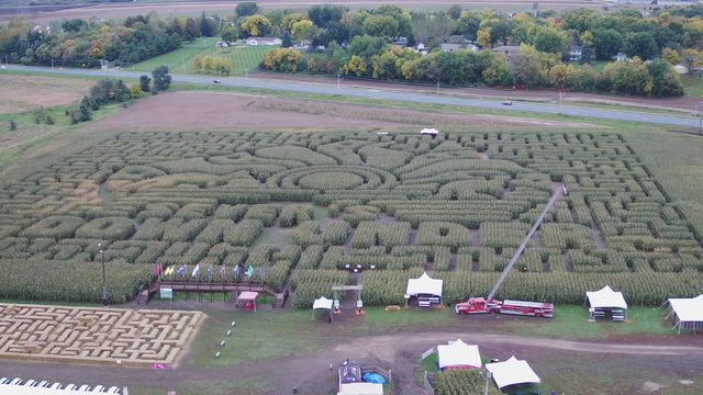 Sever's Corn Maze: A sure sign of fall