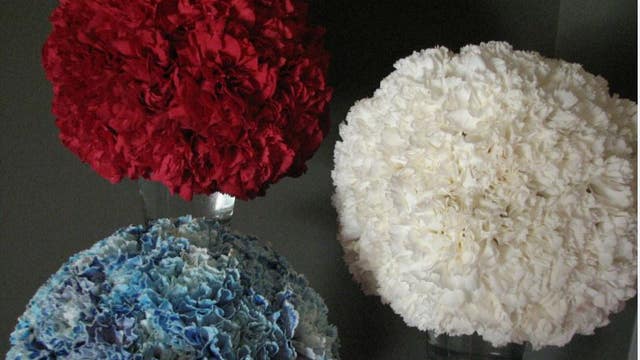 Carnation balls for Memorial Day