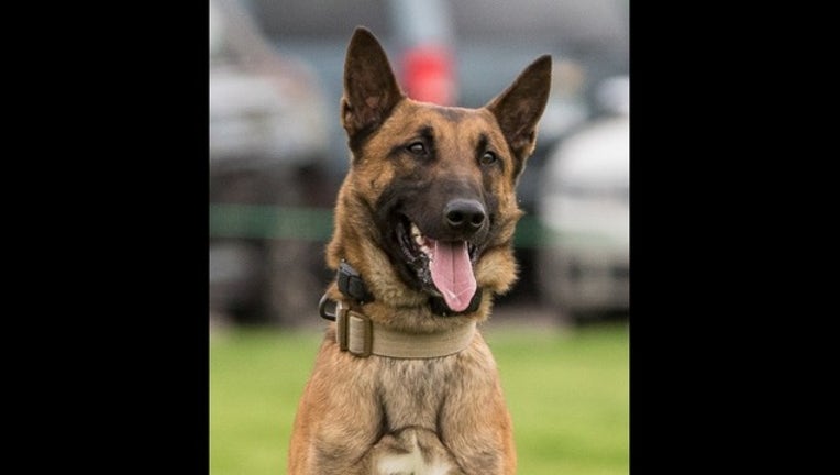 27951493-duluth k-9 officer haas_1547476412116.jpg.jpg