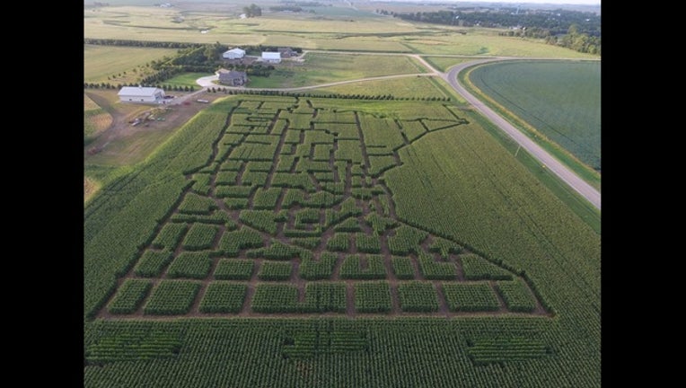 2c45b910-cornmaze_1475178852356.jpg