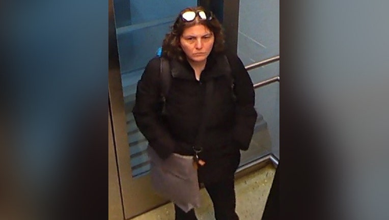 missing woman 2_1552599412112.jpg.jpg