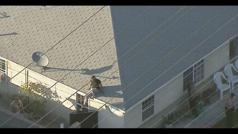 Deputies surround carjacking suspect hiding on roof-407068.jpg