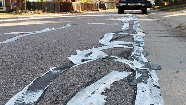toilet-paper-roads_1479059954192-404023.jpg