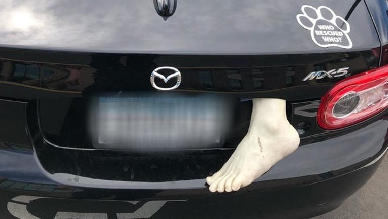 403f62ca-foot_1554858172797.jpg
