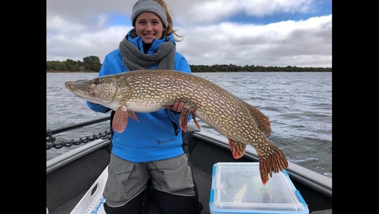 Angler reels in record-setting northern pike on Mille Lacs Lake
