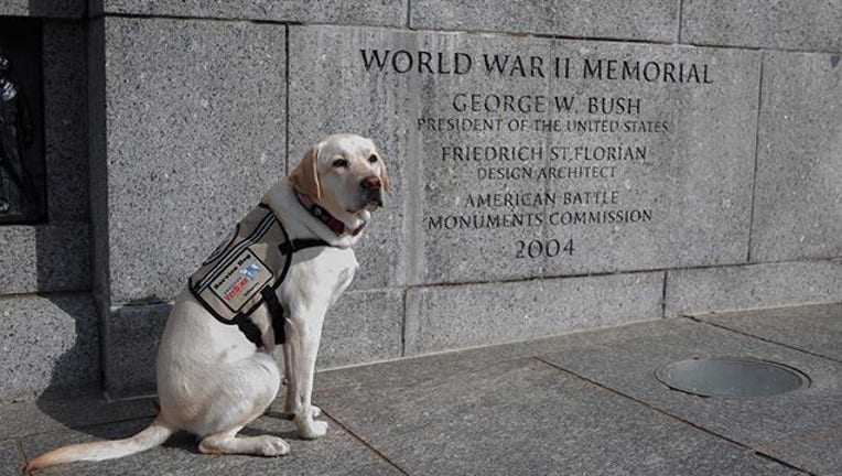 4920d82b-Sully WWII Memorial_1558980356431.jpg-408795.jpg