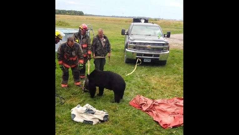 569dd9f2-bear with jug stuck_DNR_1536628842654.jpg.jpg