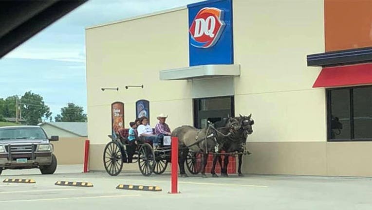 6c8d4579-dq-horse-and-buggy_1562540441344.jpg