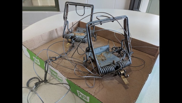 7d432360-leg hold traps_City of Minneapolis_1530821545322.jpg.jpg