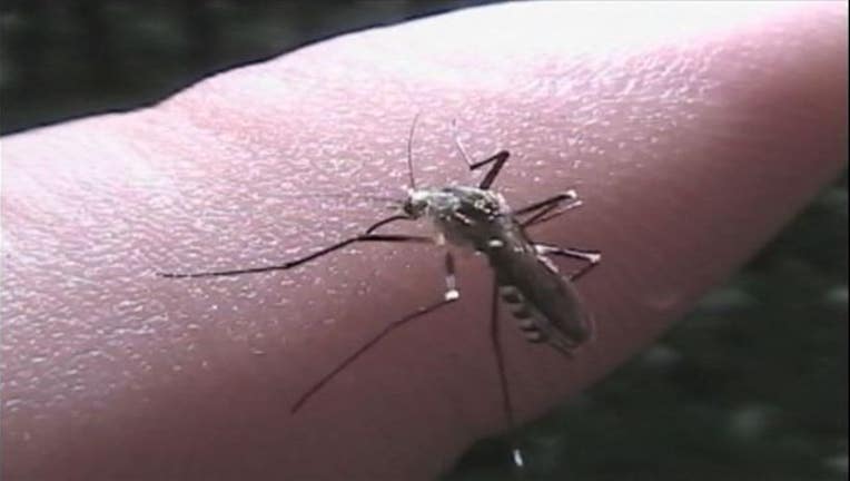 827becfc-mosquito_1455833211103.JPG