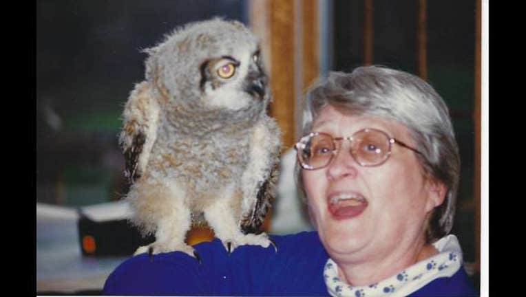 International Festival of Owls