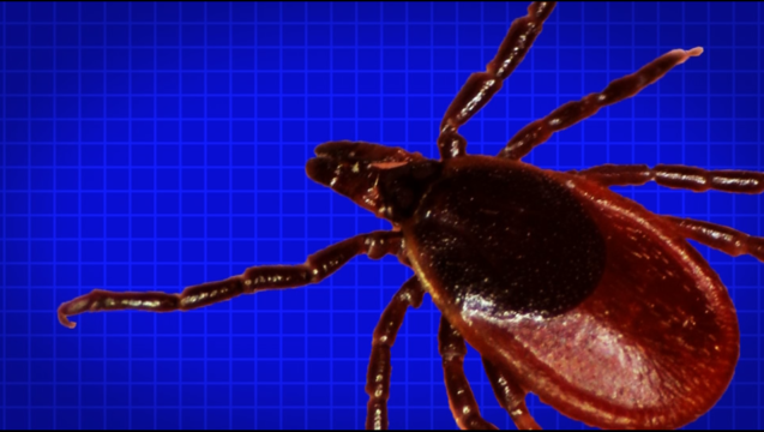 8947e1af-tick lyme disease_1466982689681.PNG