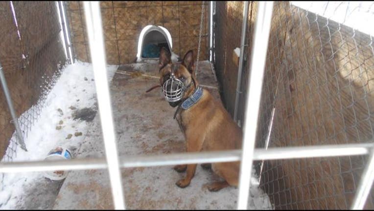 8da3d0c1-Brooklyn Center chained dog