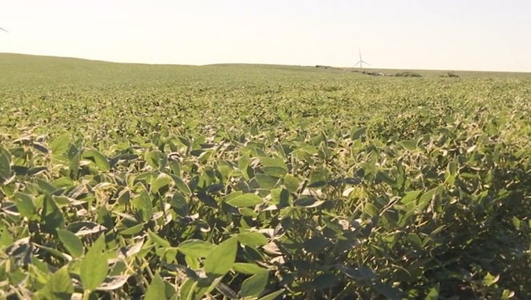 8e70c21c-5V FARMERS BAILOUT_00.00.00.29_1538236835371.png.jpg