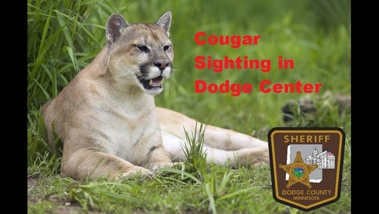 cougar dodge county sheriff's office_1559744467868.jpg.jpg