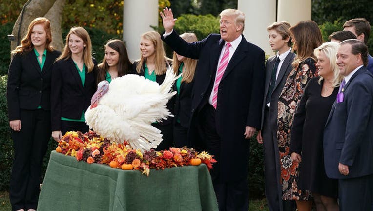 a7e542bb-GETTY Trump pardons thanksgiving turkey_1511294794597.jpg