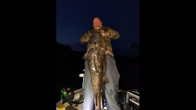 aa3e6558-record flathead catfish_1504716914858.jpg