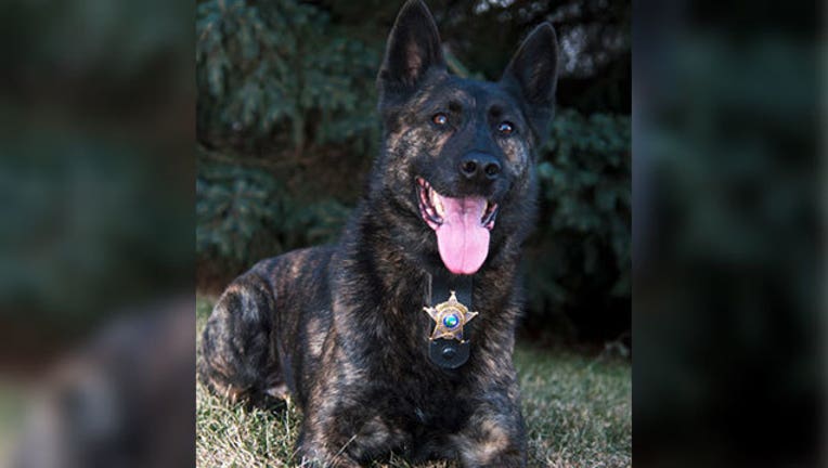 cd47e520-dakota-co-k9_1560554526387.jpg