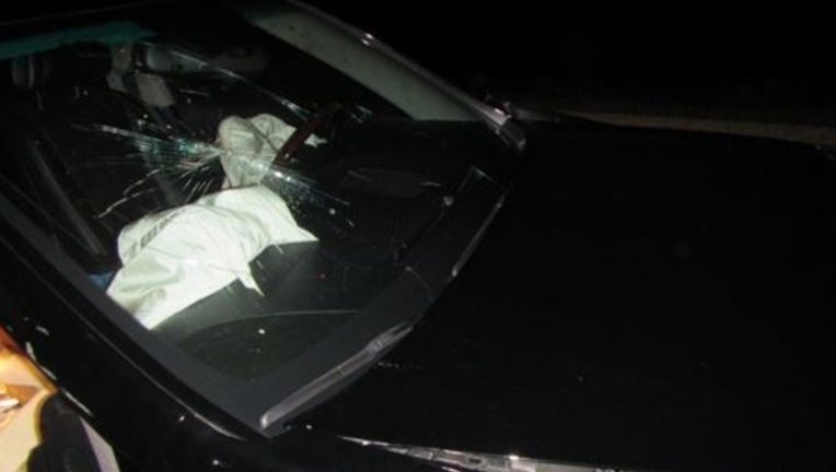 d49d035d-Bear crash.jpg
