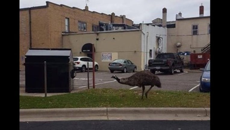 EMU