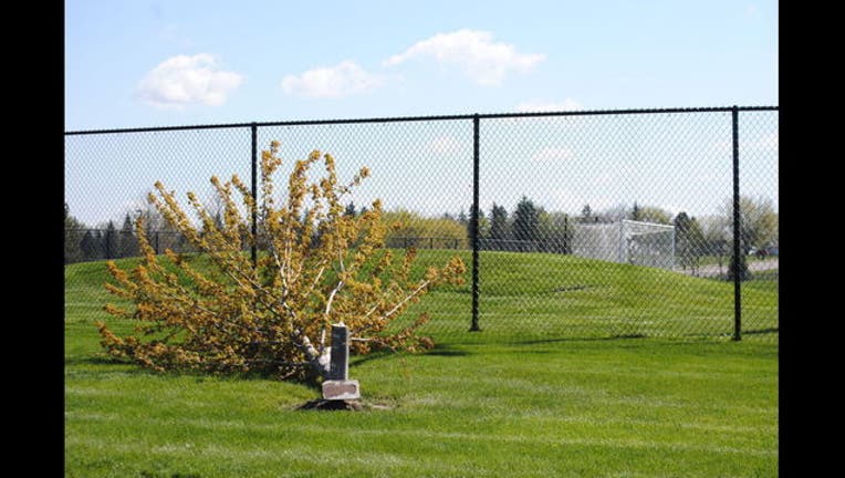 f0bfe605-Faribault Daily News memorial tree_1494880360729.jpg