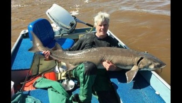 lake sturgeon record_1526924730537.jpg.jpg