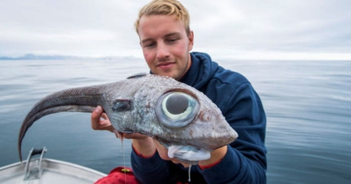 Fisherman catches strange, 'dinosaur-like' creature | FOX 9