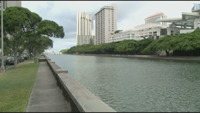 Body found in Honolulu canal identified as Minneapolis woman