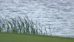 Police: Boy, 3, pulled from golf course pond in Brooklyn Park, Minnesota dies