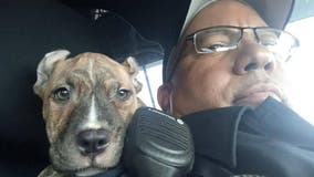 Florida cop makes Hurricane Dorian rescue, adopts 6-week-old puppy named 'Dory'